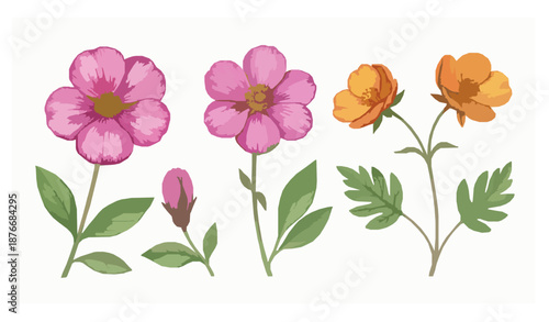 Botanical watercolor flower illustration with vibrant petals and delicate leaves isolated on white