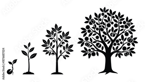 Tree growth stages vector illustration. Seedling, sapling, mature tree silhouette isolated on white.
