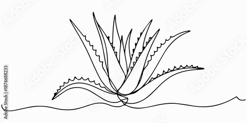 One single line drawing of healthy organic green aloe vera for farm logo identity, One single line drawing of healthy organic green aloe vera for farm logo identity. Fresh tropical succulent plant