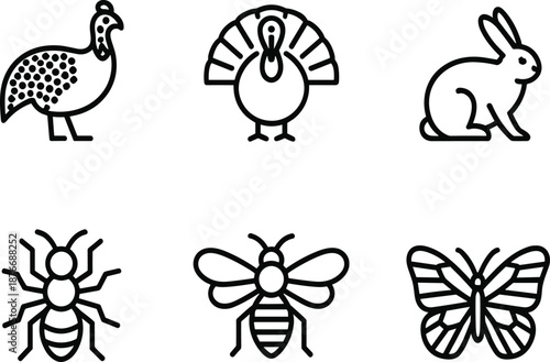 Farm Animals and Insects Line Icons Set Featuring Turkey, Guinea Fowl, Rabbit, Ant, Bee and Butterfly Cute Nature Vector Illustration