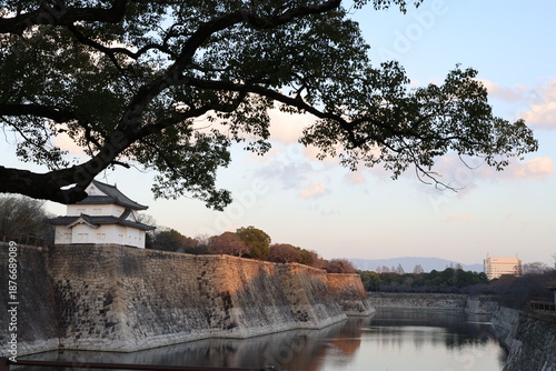 Osaka castle and Trees under the setting sun.