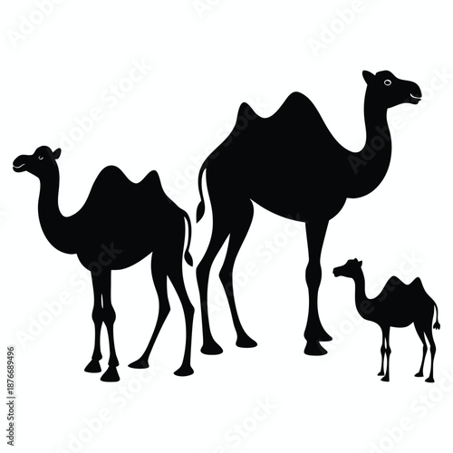 set of camels