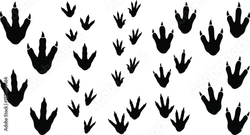 Dinosaur Footprint Track Silhouette Vector Set