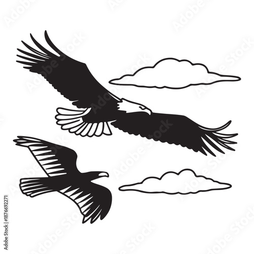 Eagle in the sky