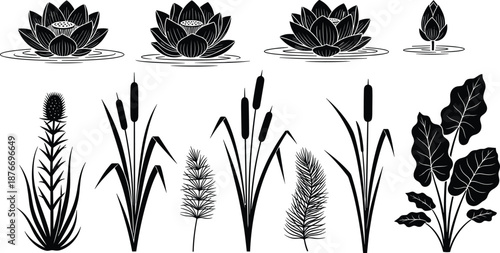 Black and White Hand Drawn Vector Illustration Set of Aquatic Plants Including Lotus Flowers Water Lilies Cattails Reeds and Tropical Marsh Foliage Silhouettes