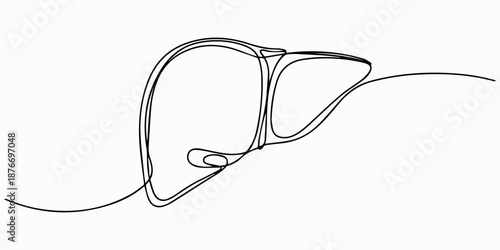 Human Liver One Line Art, Continuous Contour, Continuous one line drawing of Human liver anatomy, minimalist design isolate organ outline vector illustration, Continuous one line drawing of liver