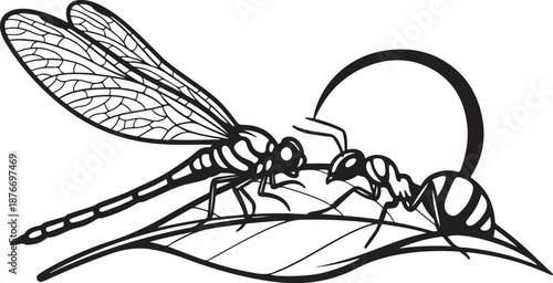 Black and white dragonfly on a leaf illustration art