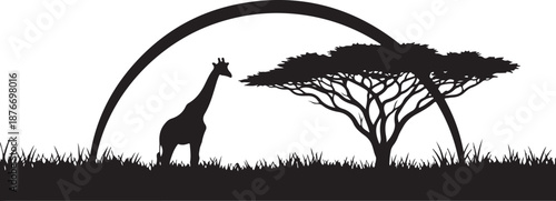 Silhouette of giraffe standing under acacia tree at sunset