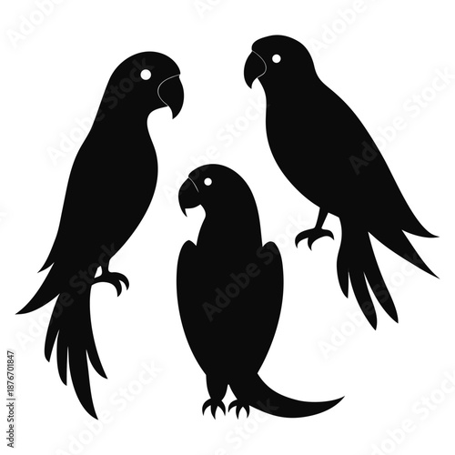 two birds on a branch