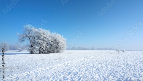Minimalist winter landscape featuring a cluster of leafless trees covered in snow, standing in an open, snow-covered field beneath a clear blue sky