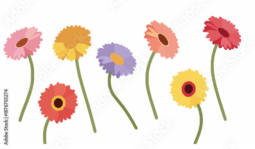 Bright gerbera flower vector set with colorful petals and curved stems isolated on white
