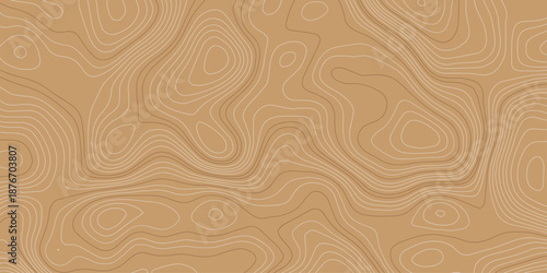 Brown And White Minimalist Topographic Contour Map Background with Soft Organic Line Patterns, Subtle Terrain Depth and Elegant Cartography Texture for Creative Design Layouts