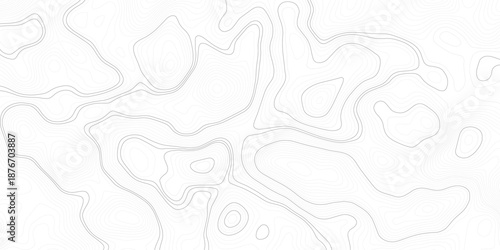 Abstract Geographic Topography Map Background with White Curved Reliefs, Organic Contour Lines and Clean Monochrome Line Art for Modern Design and Stock Vector Use