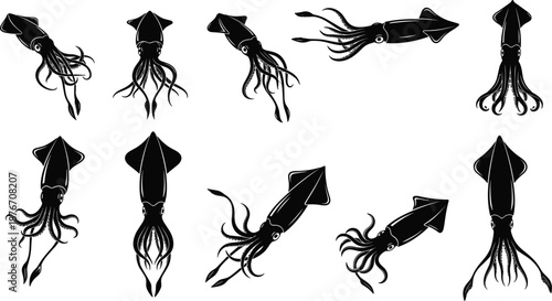 Collection of black squid silhouettes in dynamic swimming, tentacle movement, and varied poses for marine life, cephalopod biology, and illustration use