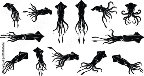 Collection of black squid and octopus silhouettes in varied poses with tentacle movement for marine life, cephalopod biology, and illustration use