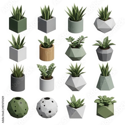 Collection of Various Potted Succulent Plants in Modern Geometric Planters.