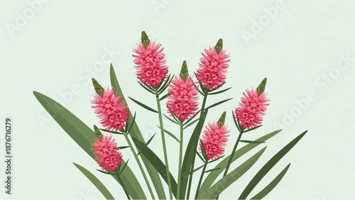 Stylized illustration of seven bright pink flower spikes and green leaves against a pale green background