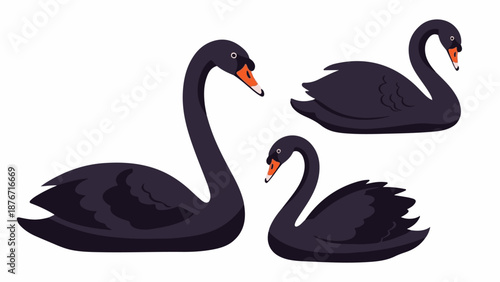 Three stylized black swans with orange beaks and white eye markings on a white background
