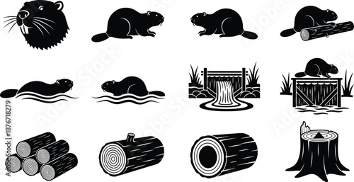 Beaver, dam, log, stump, swim, float, push, walk, sit, forest, nature, wildlife, animal, black, white, illustration, wood, structure, aquatic, behavior, habitat, environment