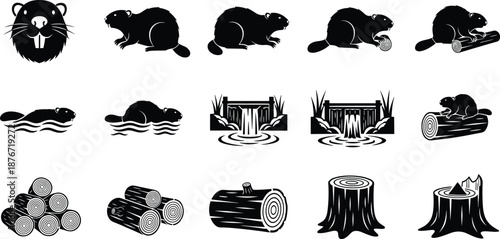 Beaver, dam, log, stump, swim, chew, float, sit, forest, nature, wildlife, animal, black, white, illustration, wood, structure, aquatic, behavior, habitat, environment, activity