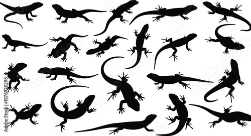 Collection of black lizard silhouettes in diverse poses and tail shapes for reptile design, biology, herpetology, and educational illustration use