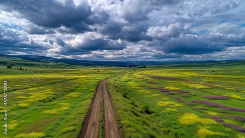 A dirt road winding through flowers, with dramatic clouds in the sky and hills in the background