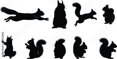 Squirrel, silhouette, animal, jump, leap, sit, stand, climb, paws, tail, forest, nature, wildlife, black, white, illustration, motion, behavior, pose, furry, cute, upright