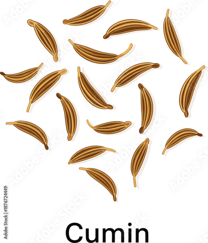 Detailed vector illustration of scattered brown cumin seeds for culinary spice food seasoning and healthy ingredient concepts.