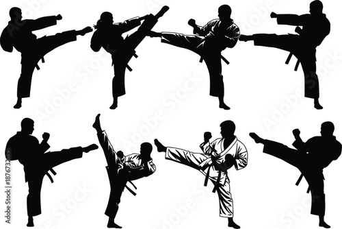 Martial Arts Kick Showcase – Silhouettes & Detail