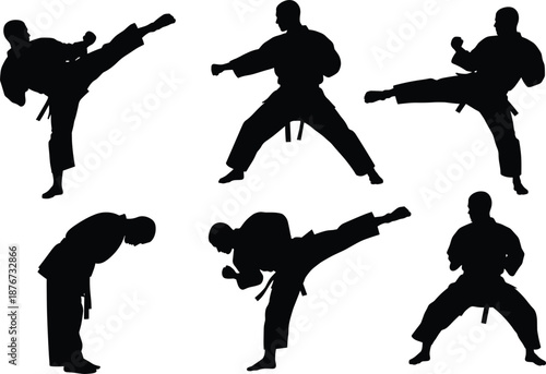 Martial Arts Silhouette Pack – Dynamic Kicks, Punches, Defensive Moves