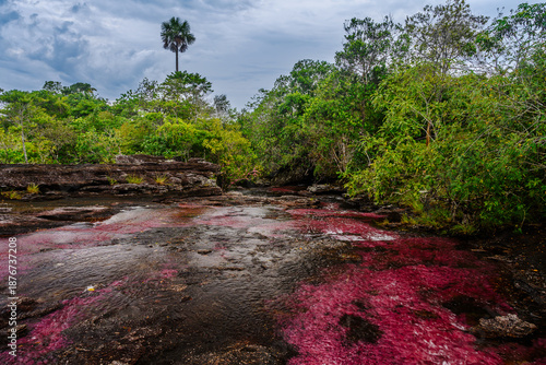 Wallpaper Mural The rainbow river or five colors river is in Colombia one of the most beautiful nature places, is called Crystal Canyon Torontodigital.ca