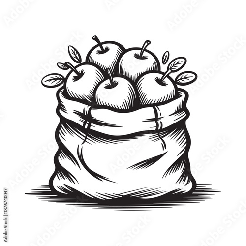 A sketch of a woven bag filled with freshly picked red apples and leaves