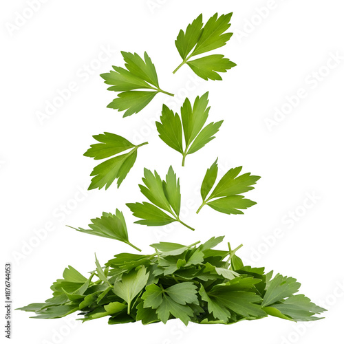 Wallpaper Mural Fresh green parsley leaves falling onto a pile of chopped herbs. Torontodigital.ca