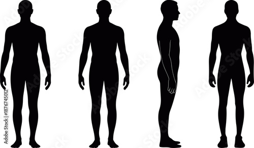 Human anatomy silhouette set showing front, side and standing poses in flat vector, human body male silhouette anatomy set, man body proportion silhouette icons