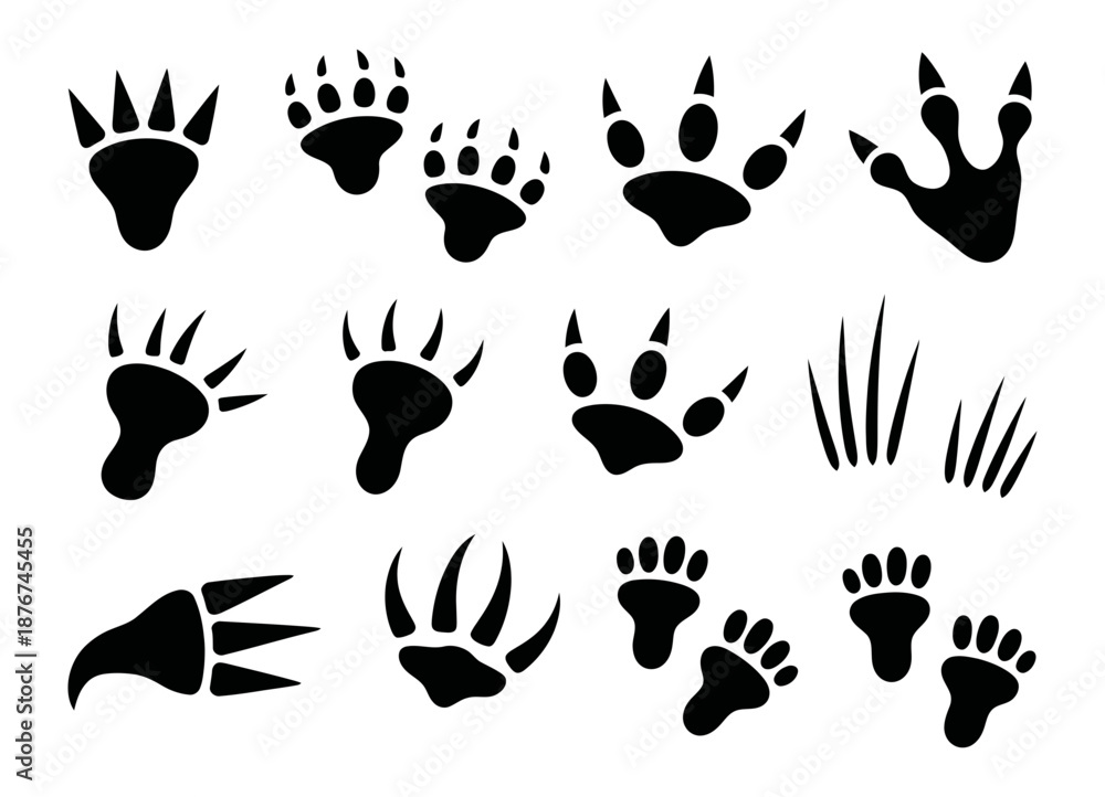 Fototapeta premium Collection of diverse animal paw prints and tracks illustrating various wild animal movements