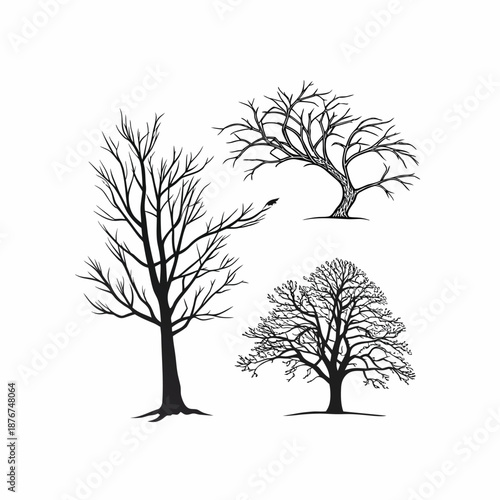 Bare Tree Silhouettes Set Isolated on White Background