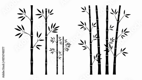 bamboo vector illustration