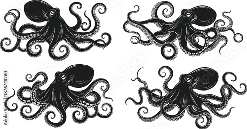 Octopus silhouettes set showing marine animal tentacles ocean wildlife black vintage style vector illustration collection isolated