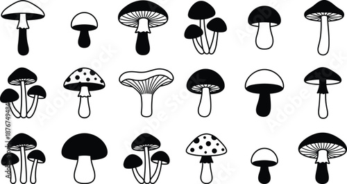 Assortment of black and white mushroom illustrations fungi toadstool