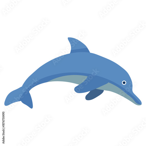 Dolphin Marine Life Ocean Vector Illustration
