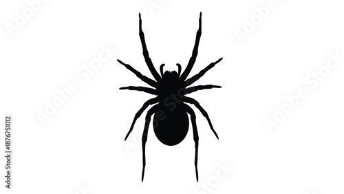 A stark silhouette of a spider with prominent legs and body structure