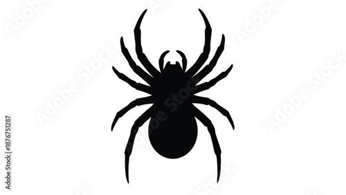 A simple black silhouette of a spider with clearly defined legs and body