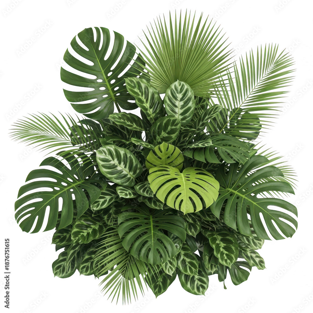 Fototapeta premium Tropical leaf collection isolated on transparent background