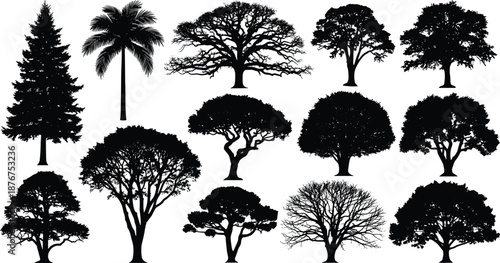 Tree silhouettes collection various forest palm oak acacia shapes black white nature botanical vector illustration set