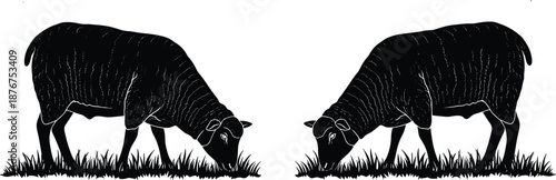 Grazing sheep silhouettes black vector illustration farm animal pair eating grass isolated on white background rural agriculture design