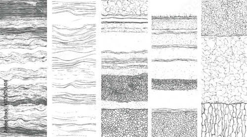 Detailed cross-sections of geological strata and organic wood grain textures presented in monochrome line style showcasing layered patterns and natural formations