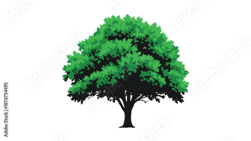 A vibrant green tree with a dark trunk stands against a white background