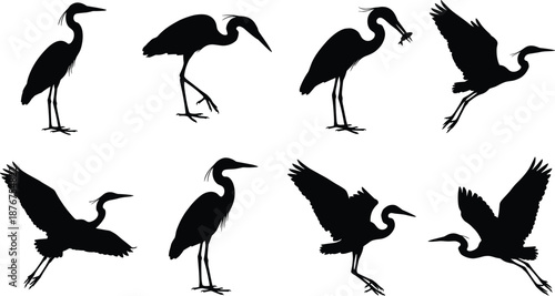 Heron Bird Silhouettes in Various Poses wildlife nature