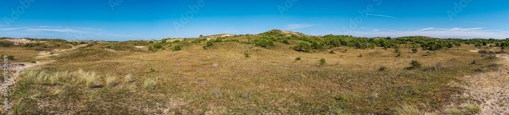 Obraz premium Panoramic view of the dune landscape near Egmond aan Zee in the Netherlands