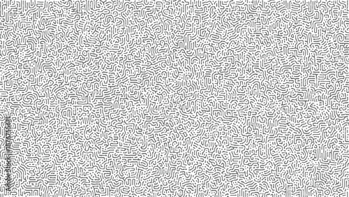 A dense and intricate abstract pattern resembling organic cellular structures or a maze formed by continuous, winding grey lines on a white background creating a complex visual texture
